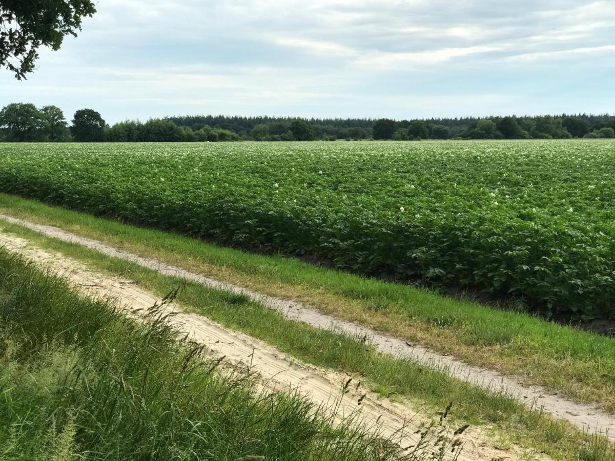 Het Uilennest Exloo Exterior foto