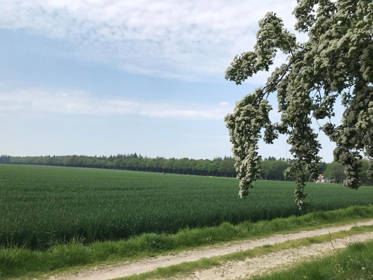 Het Uilennest Exloo Exterior foto
