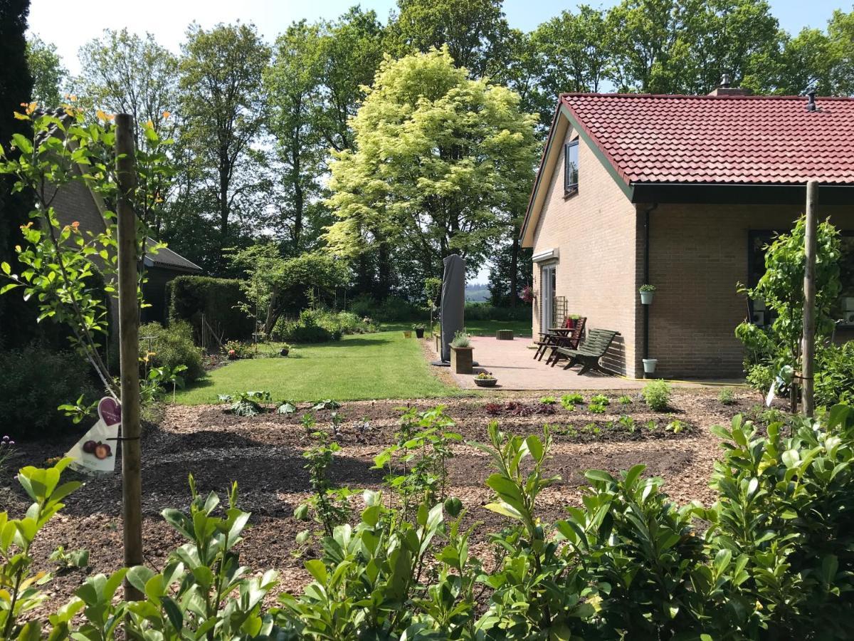 Het Uilennest Exloo Exterior foto